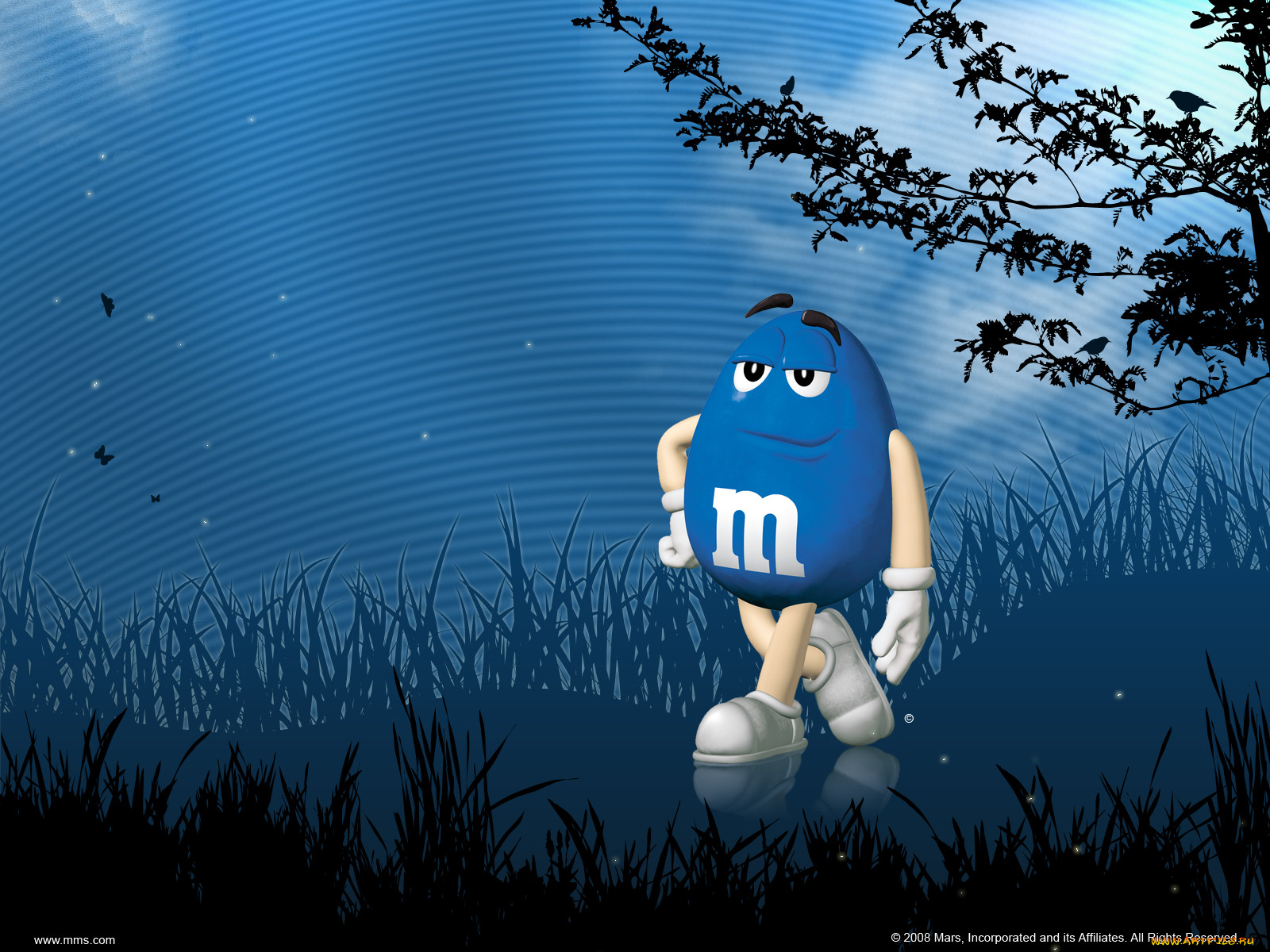 , m&m